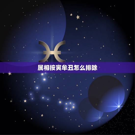 属相按寅牟丑怎么排除,子、丑、寅、卯…的排列顺序 属相按寅牟丑怎么排除,子、丑、寅、卯…的排列顺序