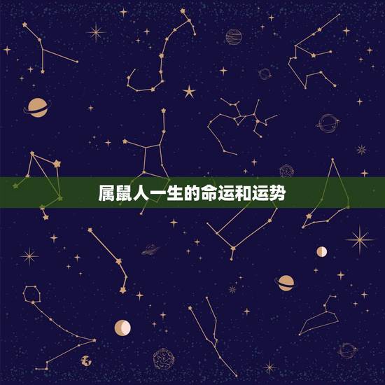 属鼠人一生的命运和运势，72年属鼠的人一生的运势如何