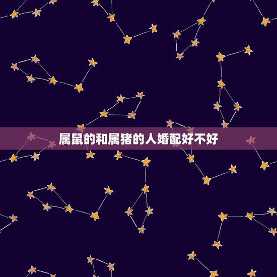 属鼠的和属猪的人婚配好不好，属猪与属鼠相配吗？