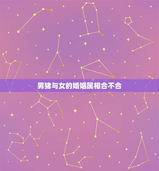 男猪与女的婚姻属相合不合，属相婚配女属猪的和男属猴的会在一起吗？