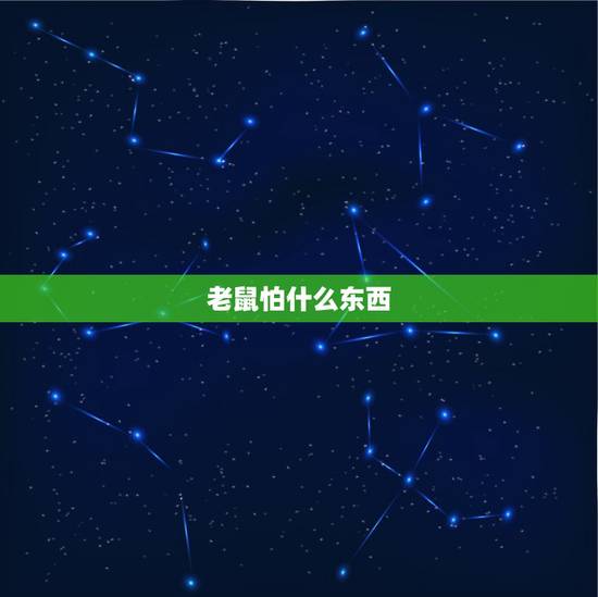 老鼠怕什么东西，老鼠怕什么东西不敢近