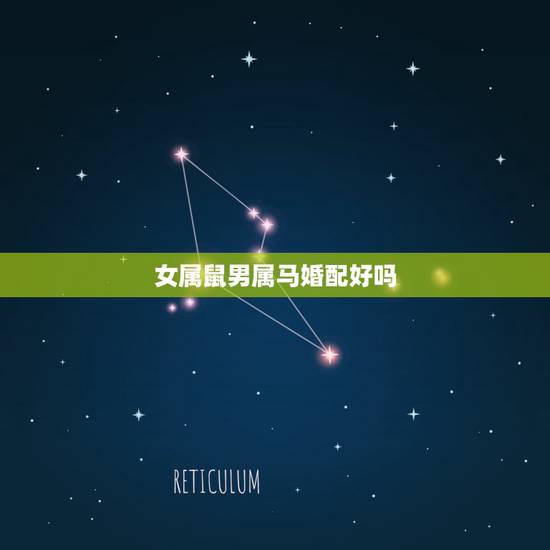 女属鼠男属马婚配好吗，属鼠的女跟属马的男合适吗？在一起会和睦吗？
