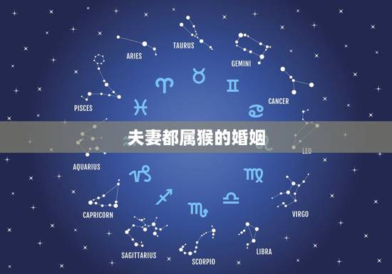夫妻都属猴的婚姻，生肖属猴的男人婚姻