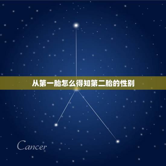 从第一胎怎么得知第二胎的性别,怎么知道下一胎生男还是生女 从第一胎怎么得知第二胎的性别,怎么知道下一胎生男还是生女