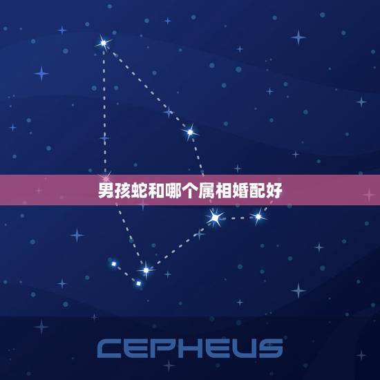 男孩蛇和哪个属相婚配好,男生属蛇与什么属相配 男孩蛇和哪个属相婚配好,男生属蛇与什么属相配