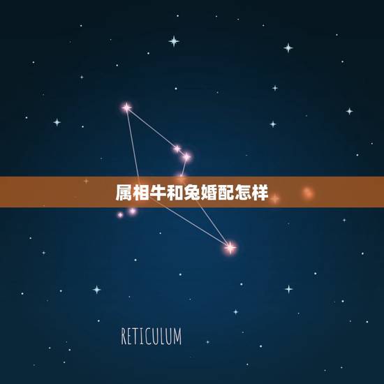 属相牛和兔婚配怎样,属兔和属牛的相配吗 属相牛和兔婚配怎样,属兔和属牛的相配吗