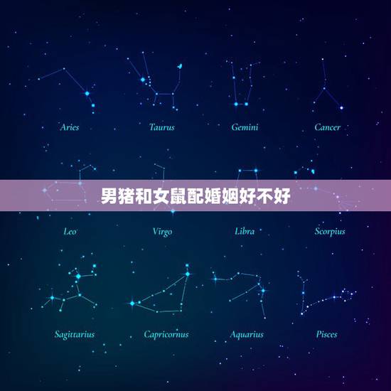 男猪和女鼠配婚姻好不好，男属猪女属鼠结婚匹配吗？