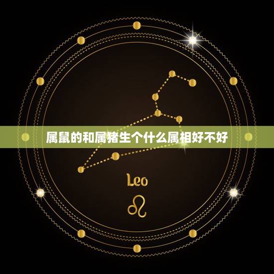 属鼠的和属猪生个什么属相好不好，属猪的人命好不好？准备生个小猪