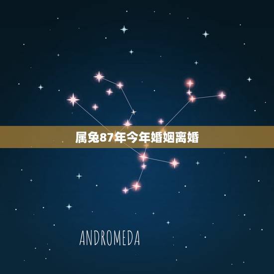 属兔87年今年婚姻离婚,87年属兔和88属龙的婚姻今年会离婚么? 属兔87年今年婚姻离婚,87年属兔和88属龙的婚姻今年会离婚么?