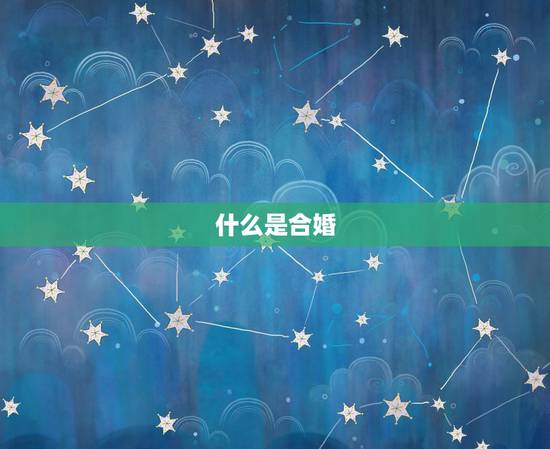 什么是合婚,请问合婚是什么意思?一般通过什么合婚啊? 什么是合婚,请问合婚是什么意思?一般通过什么合婚啊?