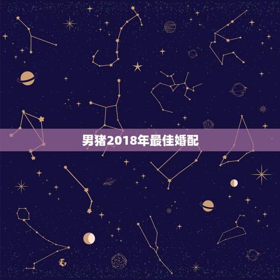 男猪2018年最佳婚配，猪男和什么属相好