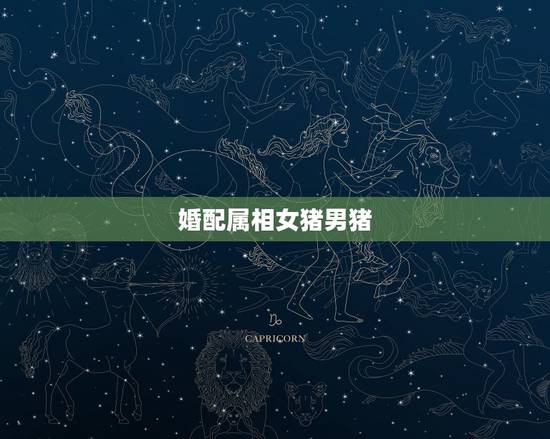 婚配属相女猪男猪,属相婚配:男属猪和女属猪相配吗 婚配属相女猪男猪,属相婚配:男属猪和女属猪相配吗
