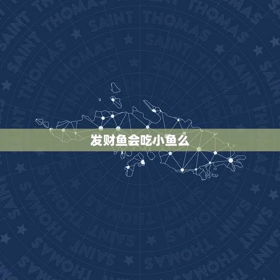 发财鱼会吃小鱼么，发财鱼的喂食