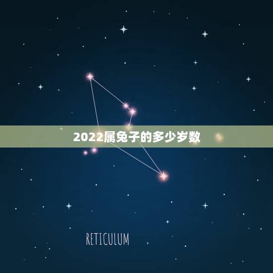 2022属兔子的多少岁数，咋看兔子多大