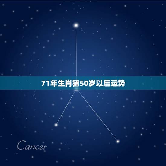 71年生肖猪50岁以后运势 属猪女晚年谁来陪