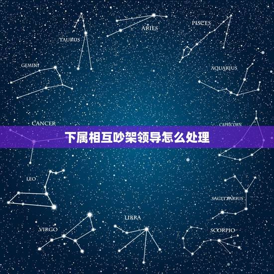 下属相互吵架领导怎么处理，和同事吵架，她向领导告状了，我该怎么办？