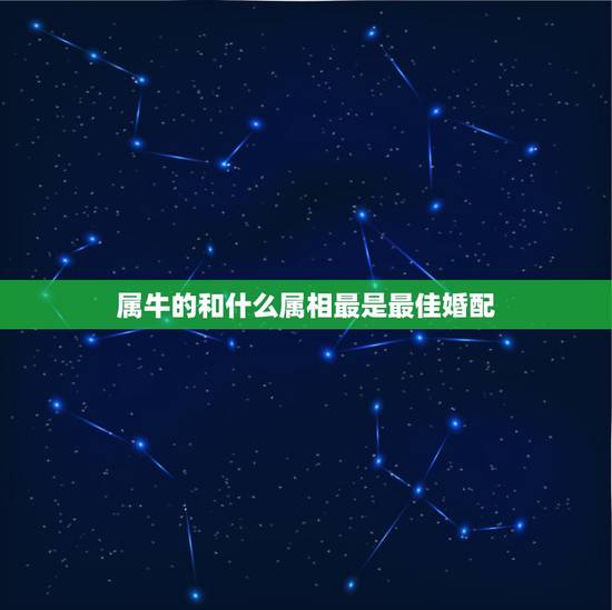属牛的和什么属相最是最佳婚配,属牛男和属猴女结婚好不好? 属牛的和什么属相最是最佳婚配,属牛男和属猴女结婚好不好?