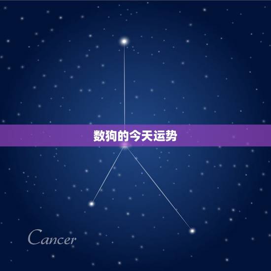 数狗的今天运势，属狗2018年运势