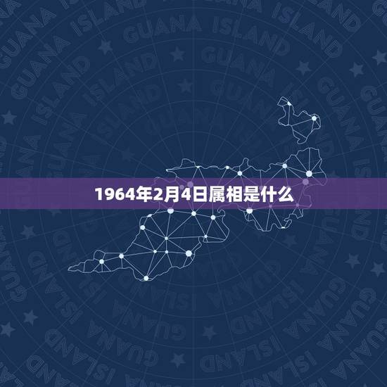 1964年2月4日属相是什么,1964年2月4日出生属兔的吉祥数字是多 1964年2月4日属相是什么,1964年2月4日出生属兔的吉祥数字是多