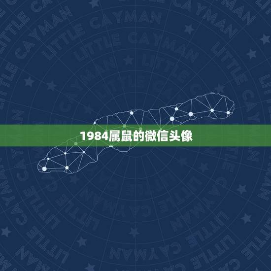 1984属鼠的微信头像，1984年属鼠微信头像