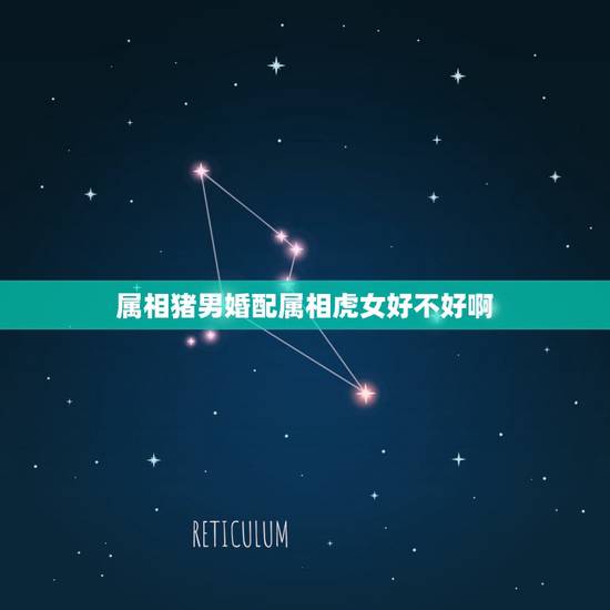 属相猪男婚配属相虎女好不好啊,属猪的男生和属虎的女生结婚好吗? 属相猪男婚配属相虎女好不好啊,属猪的男生和属虎的女生结婚好吗?