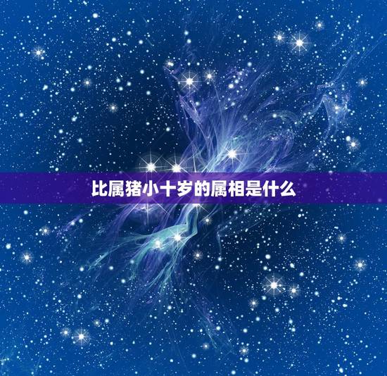 比属猪小十岁的属相是什么,属猪的和什么属相好 比属猪小十岁的属相是什么,属猪的和什么属相好