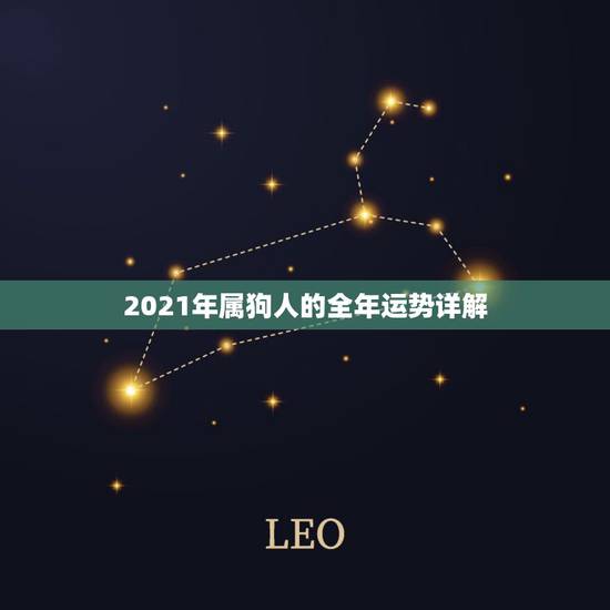 2021年属狗人的全年运势详解，2021年属狗人的全年运势