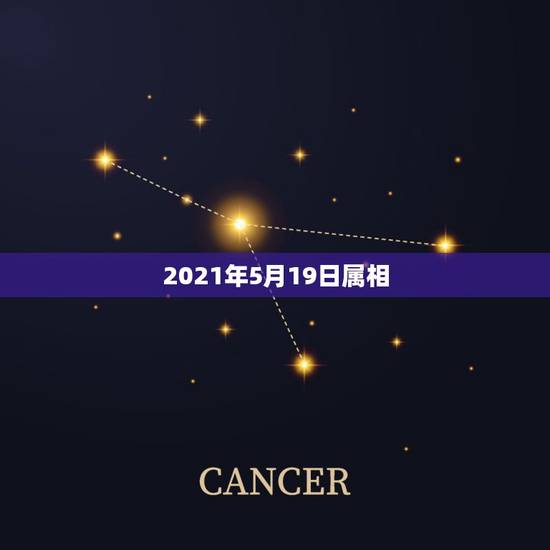 2021年5月19日属相,2021年适合婚嫁的属相 2021年5月19日属相,2021年适合婚嫁的属相