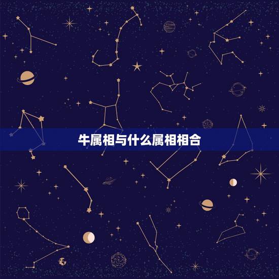 牛属相与什么属相相合,属牛和什么属相最配 牛属相与什么属相相合,属牛和什么属相最配
