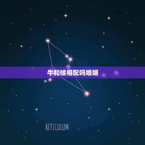 牛和候相配吗婚姻，属猴男和属牛女结婚合适吗