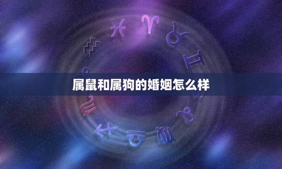 属鼠和属狗的婚姻怎么样,属鼠的男人和属狗的女人婚姻能配吗? 属鼠和属狗的婚姻怎么样,属鼠的男人和属狗的女人婚姻能配吗?