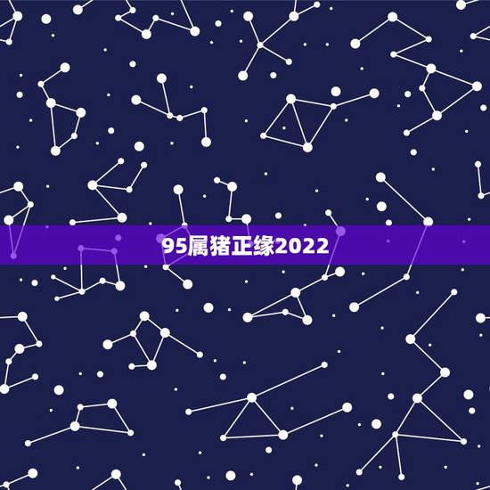 95属猪正缘2022 95年属猪的正缘什么时候到 95属猪正缘2022 95年属猪的正缘什么时候到