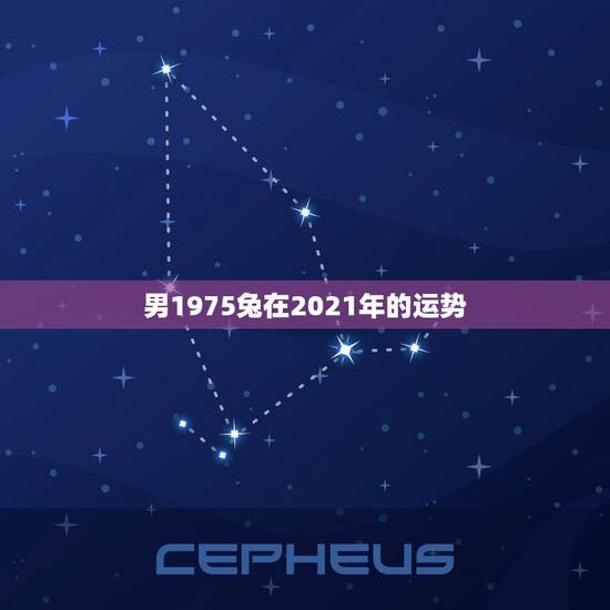 男1975兔在2021年的运势,75年属兔2021年运势及运程男 男1975兔在2021年的运势,75年属兔2021年运势及运程男