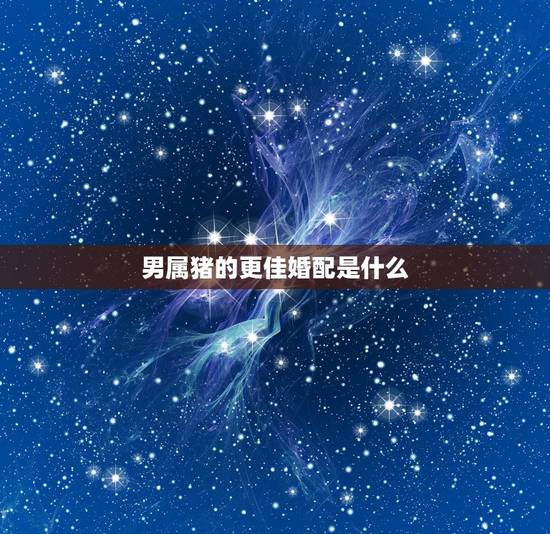 男属猪的更佳婚配是什么,男属猪的属相婚配表 男属猪的更佳婚配是什么,男属猪的属相婚配表