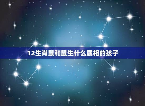 12生肖鼠和鼠生什么属相的孩子，属鼠的和什么属相最配