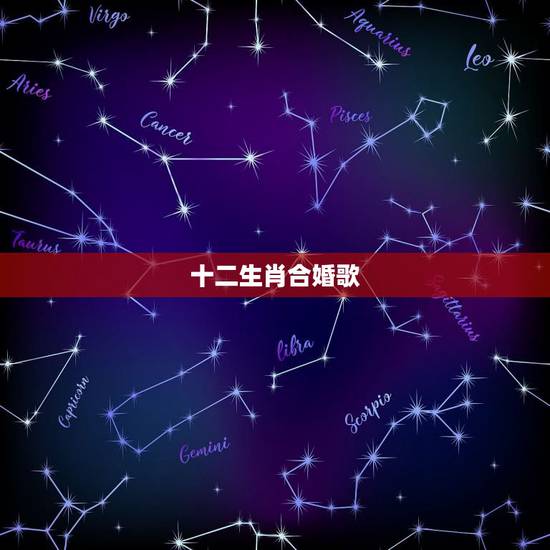 十二生肖合婚歌，生肖猪匹配音乐