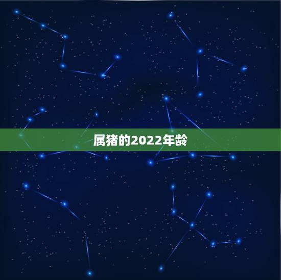 属猪的2022年龄，1983年属猪2022年运势