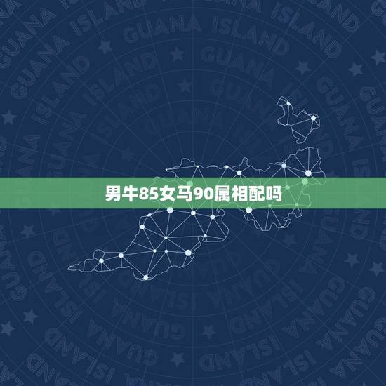 男牛85女马90属相配吗