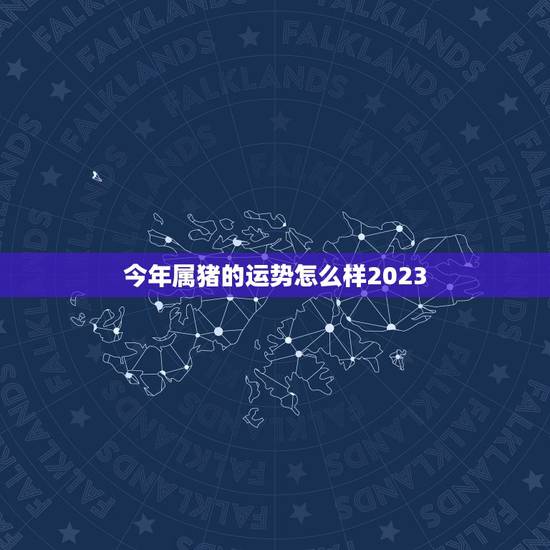 今年属猪的运势怎么样2023，属猪今年的运势怎么样2023