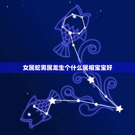 女属蛇男属龙生个什么属相宝宝好，男属牛女属龙生个什么属相的宝宝好