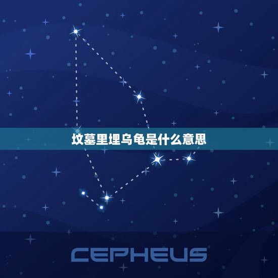 坟墓里埋乌龟是什么意思，祖坟上埋乌龟是什么意？