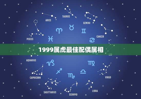 1999属虎最佳配偶属相，属虎的最佳配偶