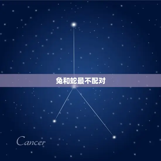 兔和蛇最不配对