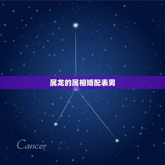 属龙的属相婚配表男，属龙男和什么属相最配
