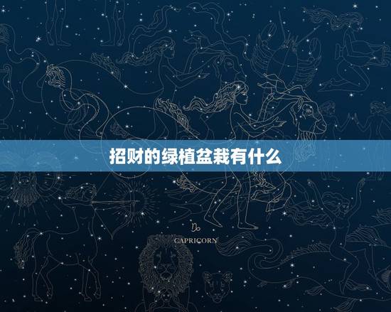 招财的绿植盆栽有什么,店铺养什么植物最旺财 招财的绿植盆栽有什么,店铺养什么植物最旺财