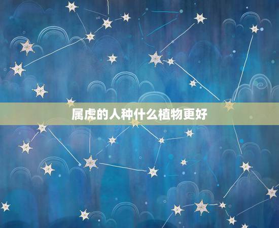 属虎的人种什么植物更好，属虎的人适合养什么植物