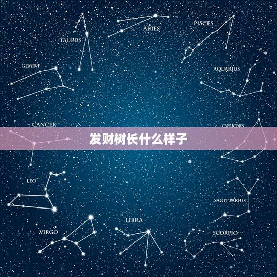发财树长什么样子,发财树长什么样 发财树长什么样子,发财树长什么样