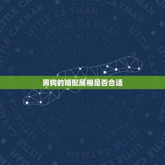 男狗的婚配属相是否合适，男狗女狗属相相配吗