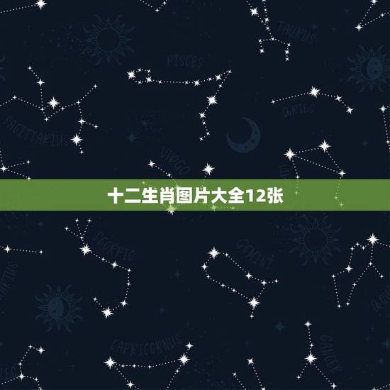 十二生肖图片大全12张，12生肖图片大全12张！有黑色的生肖是那些？