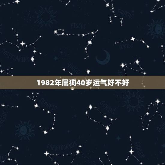 1982年属狗40岁运气好不好 1982年属狗40岁运气好不好